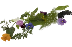 Bonte salade met bloemen 100gr